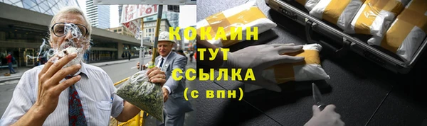соль курить ск Белокуриха