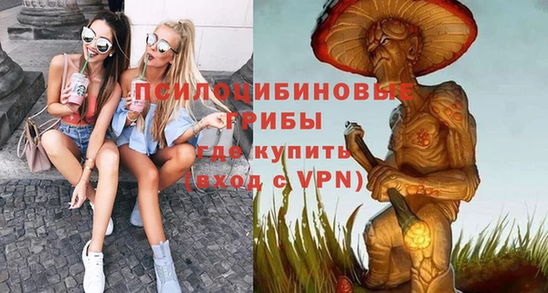 крисы Белоозёрский