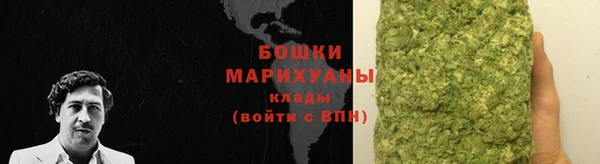 крисы Белоозёрский