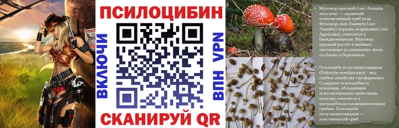 Галлюциногенные грибы Psilocybine cubensis  где купить   Пыть-Ях 